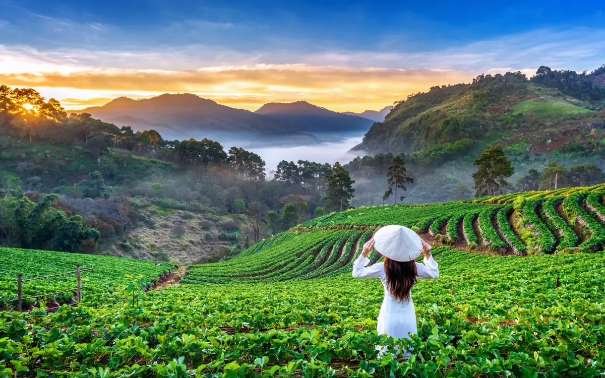 Munnar Scenery
